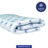 Image of COMBED 30S ELEPHANT - SOFT BLUE